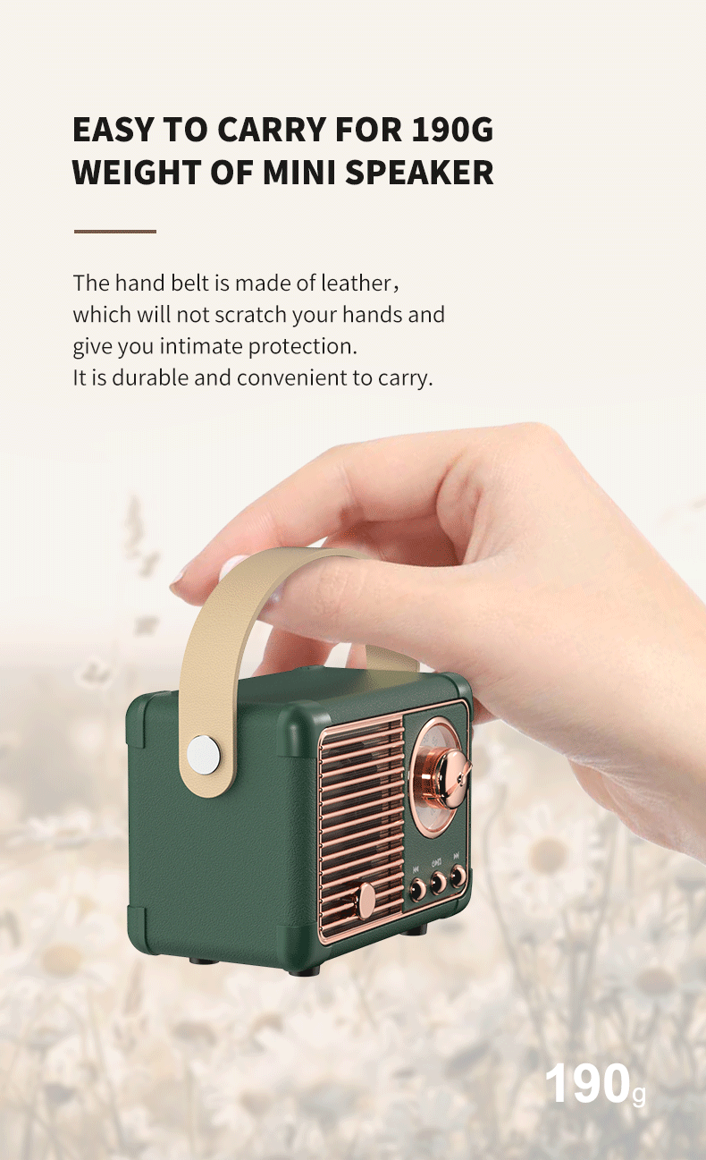 Zavaria VintageTone Speaker